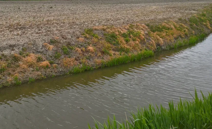 screenshot 20210331 112817