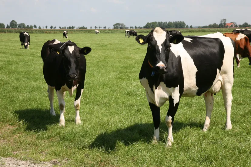 screenshot 20210331 122934