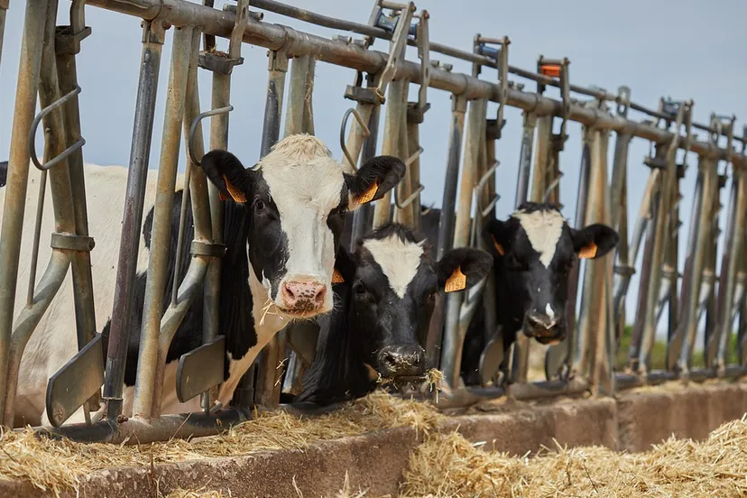 screenshot 20210405 100355