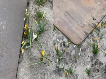 screenshot 20210406 161131