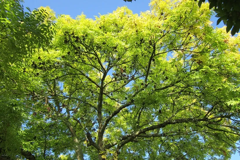 screenshot 20210408 121052