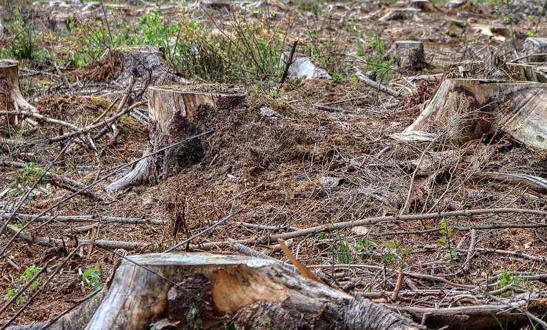 screenshot 20210408 143603