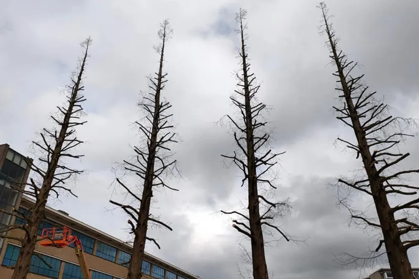 screenshot 20210415 094023