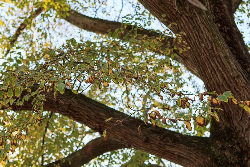 screenshot 20210423 141437