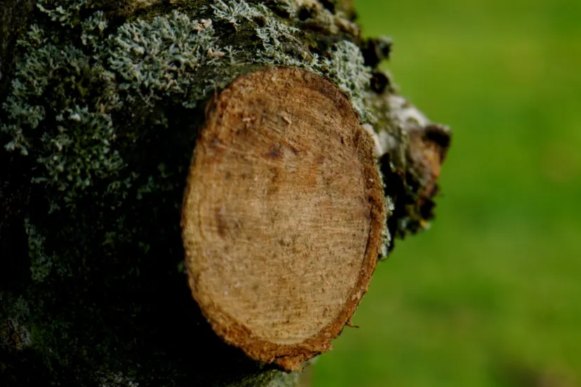 screenshot 20210429 110711