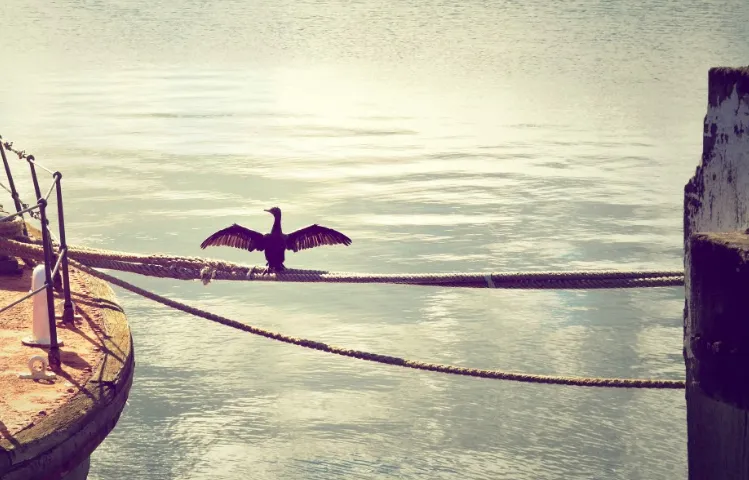 screenshot 20210430 105959