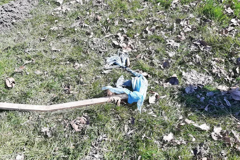 screenshot 20210430 134721