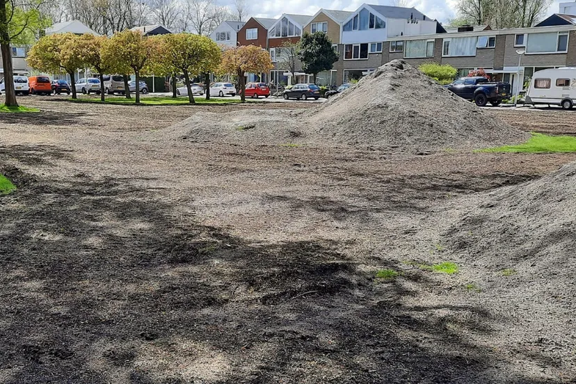 screenshot 20210503 100759