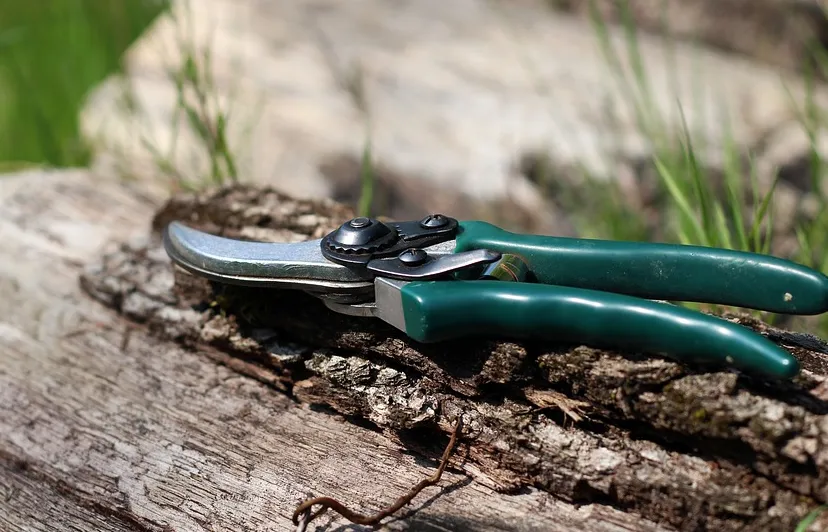 screenshot 20210511 161147