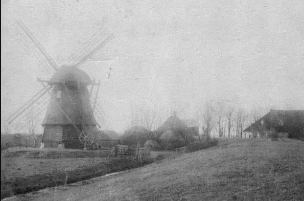 screenshot 20210513 135921