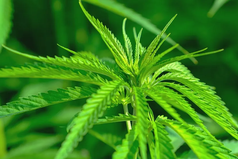 screenshot 20210518 160801