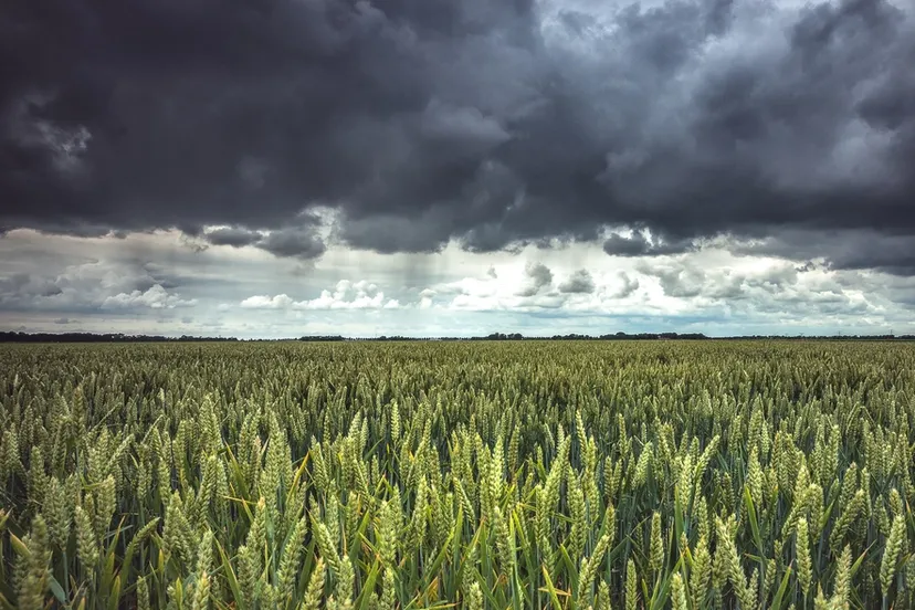 screenshot 20210519 120517