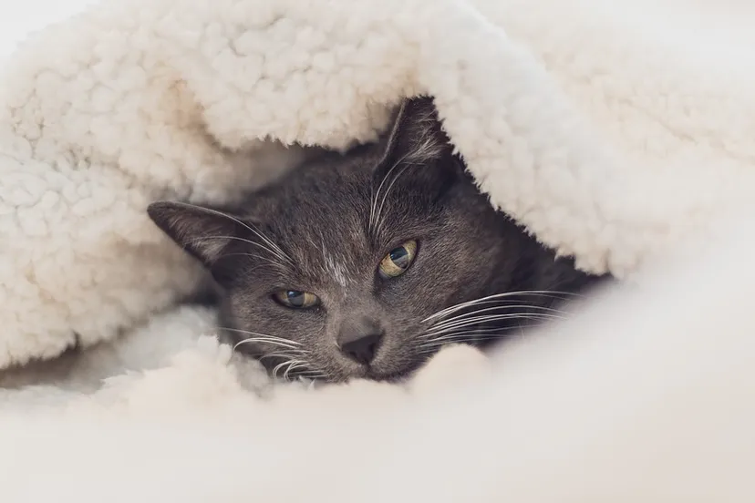 screenshot 20210523 095907