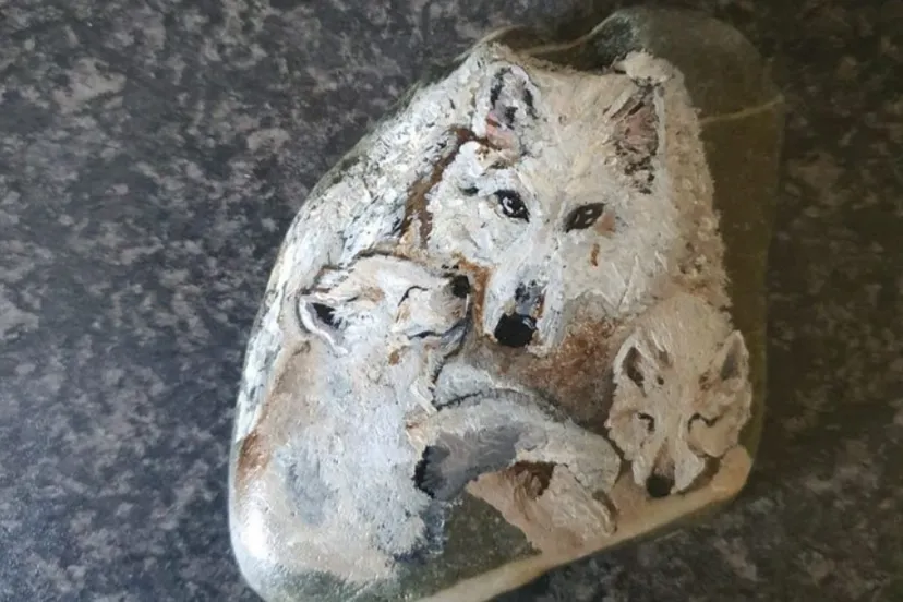 screenshot 20210523 124001