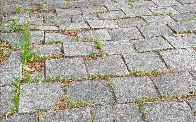 screenshot 20210529 150440