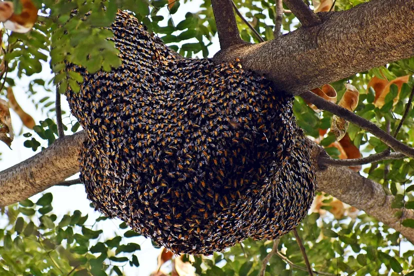 screenshot 20210530 132317