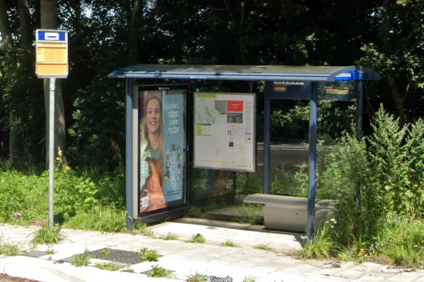 screenshot 20210530 163000