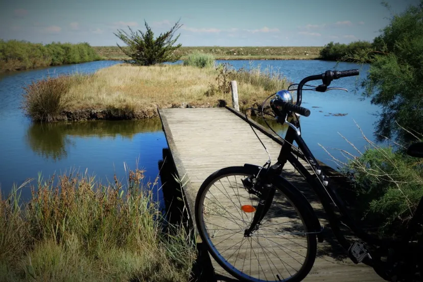 screenshot 20210601 155734