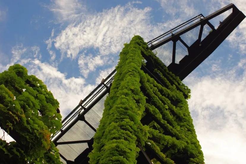 screenshot 20210602 152629