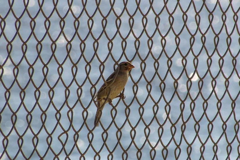 screenshot 20210604 151000