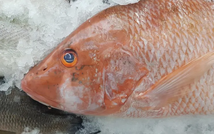 screenshot 20210606 133340