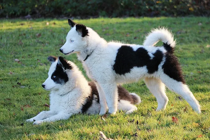 screenshot 20210619 112335