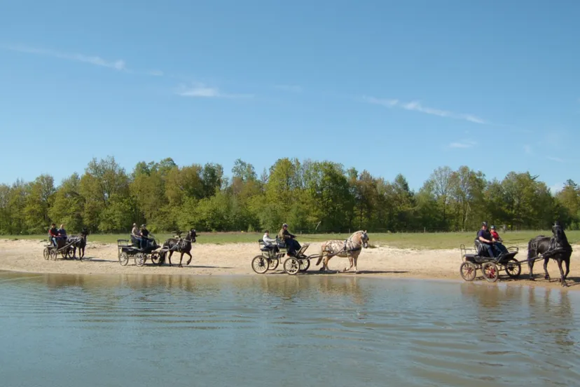 screenshot 20210620 095819