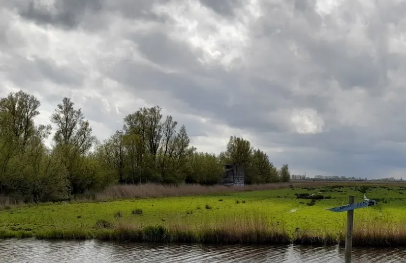 screenshot 20210630 082423