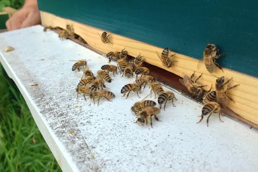 screenshot 20210630 095235