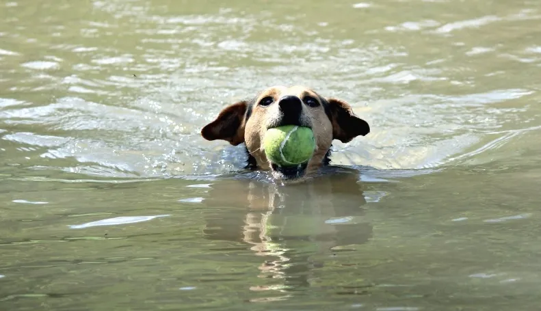 screenshot 20210702 122719