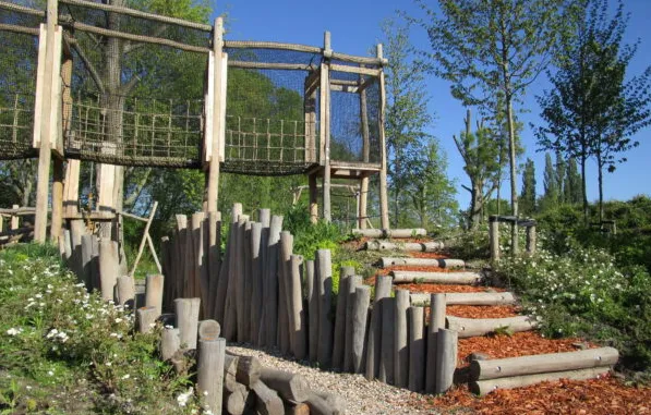 screenshot 20210705 113806