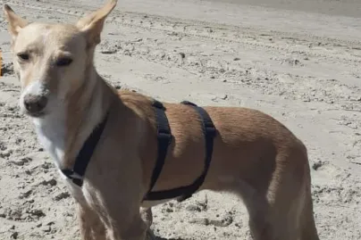 screenshot 20210706 160945