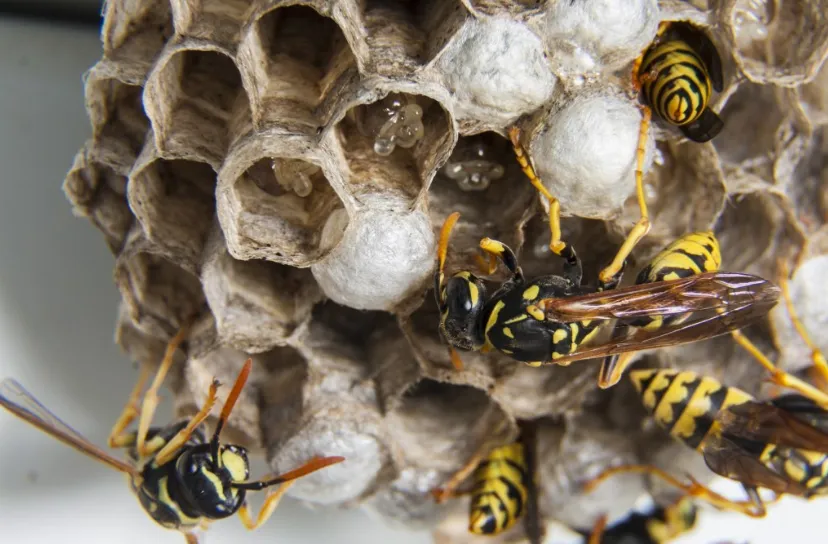 screenshot 20210712 113429