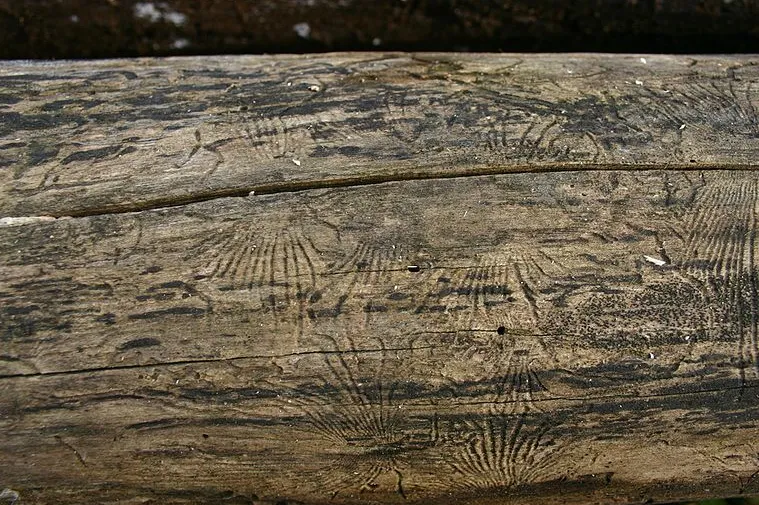 screenshot 20210718 083439