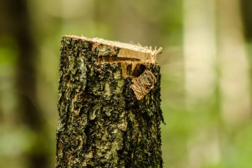 screenshot 20210719 103015