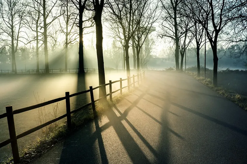 screenshot 20210720 130224