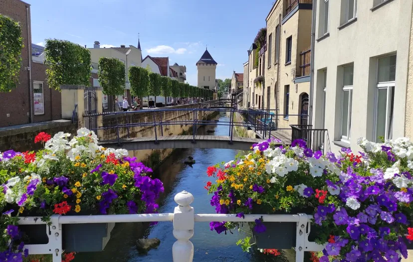 screenshot 20210721 144008