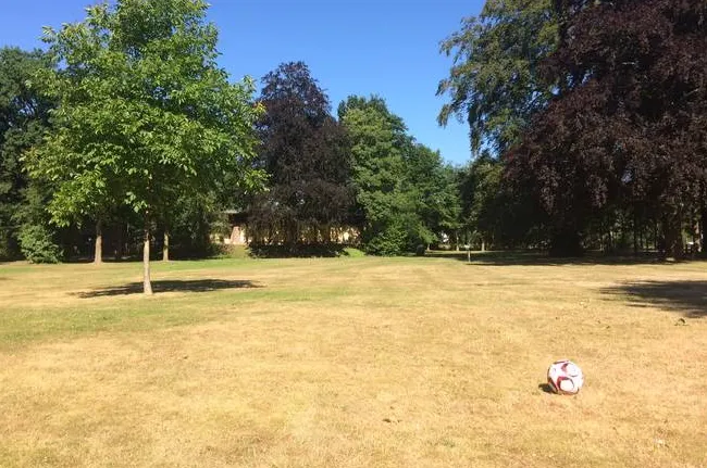 screenshot 20210722 104547