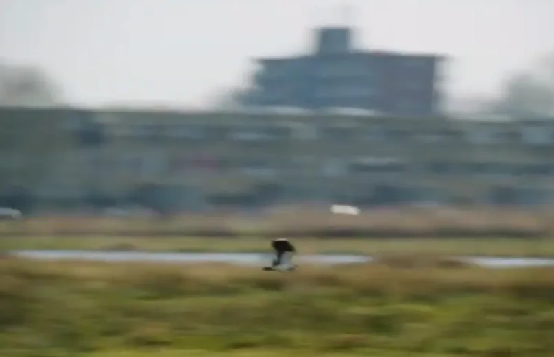 screenshot 20210722 141017