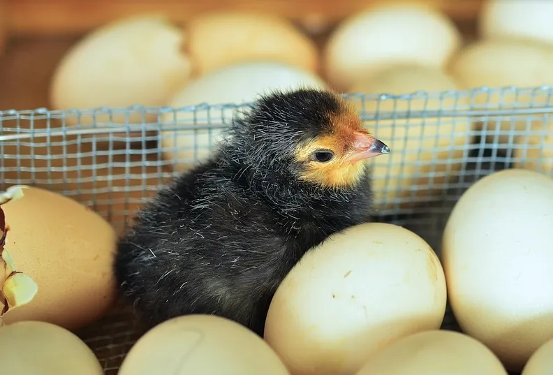 screenshot 20210729 140322