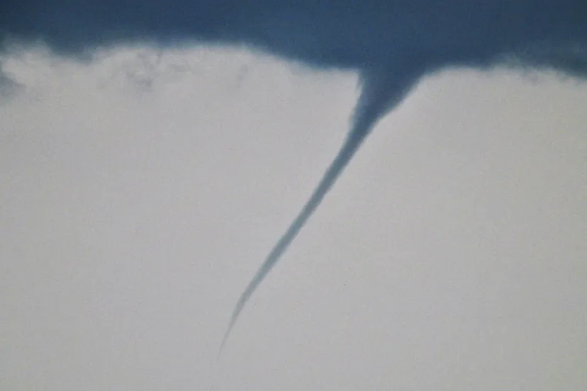 screenshot 20210730 155729