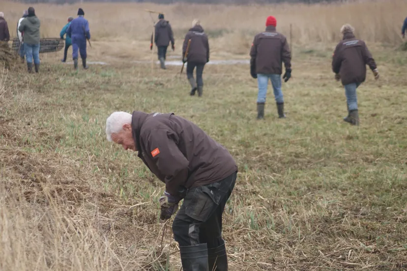 screenshot 20210808 120629