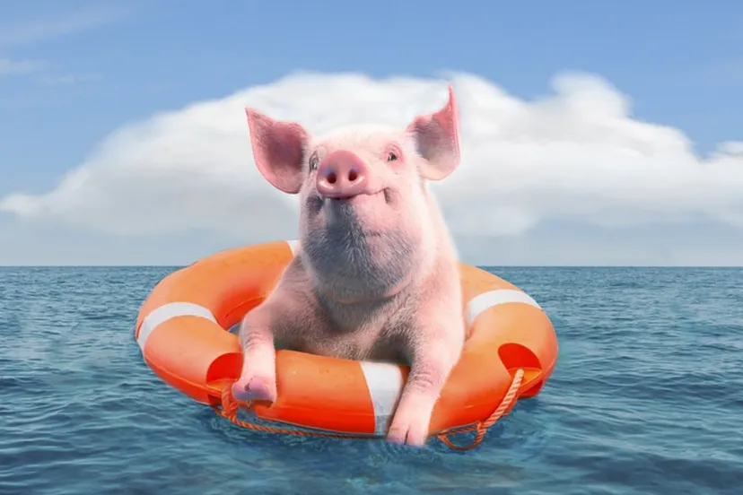 screenshot 20210809 155242