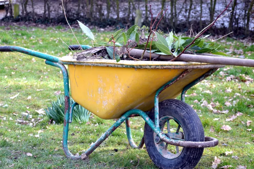 screenshot 20210816 105022