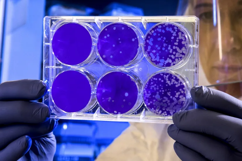 screenshot 20210819 143151