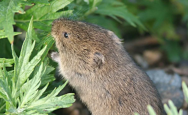 screenshot 20210824 151926