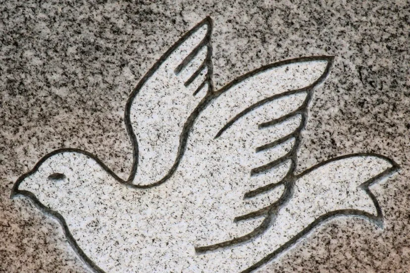 screenshot 20210826 144137