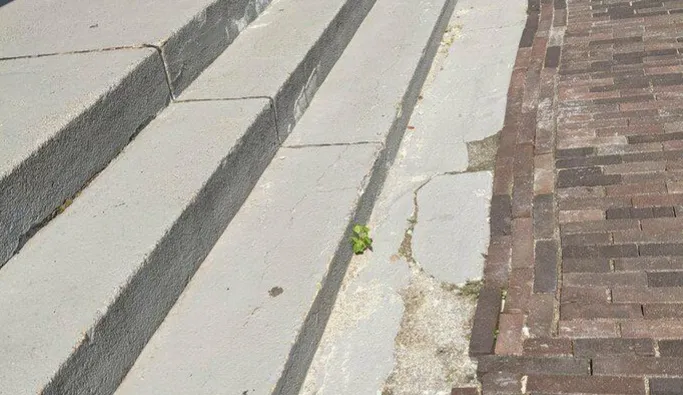 screenshot 20210827 153553