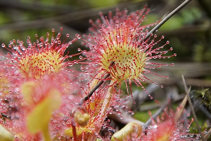 screenshot 20210909 125348