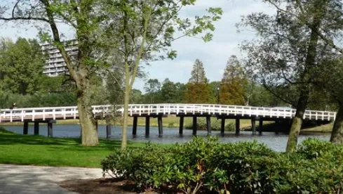 screenshot 20210910 113600